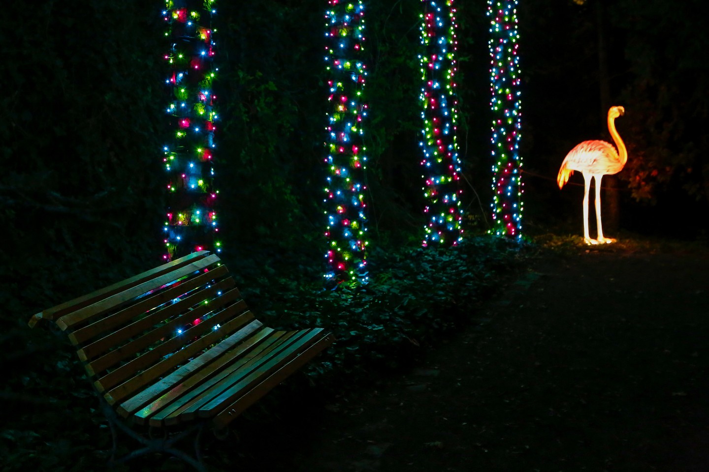 Alice Csodaországban elevenedik meg a Garden of Lights fényfiguráival a Füvészkertben