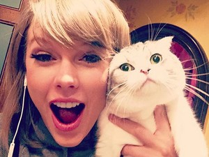 Ők a hírességek legcukibb házikedvencei