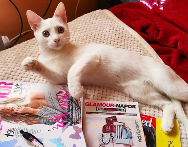 Így készültök ti a GLAMOUR-napokra