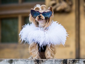 Stílustippek a hideg napokra: Így öltözködj, ha odakint fagyos az idő