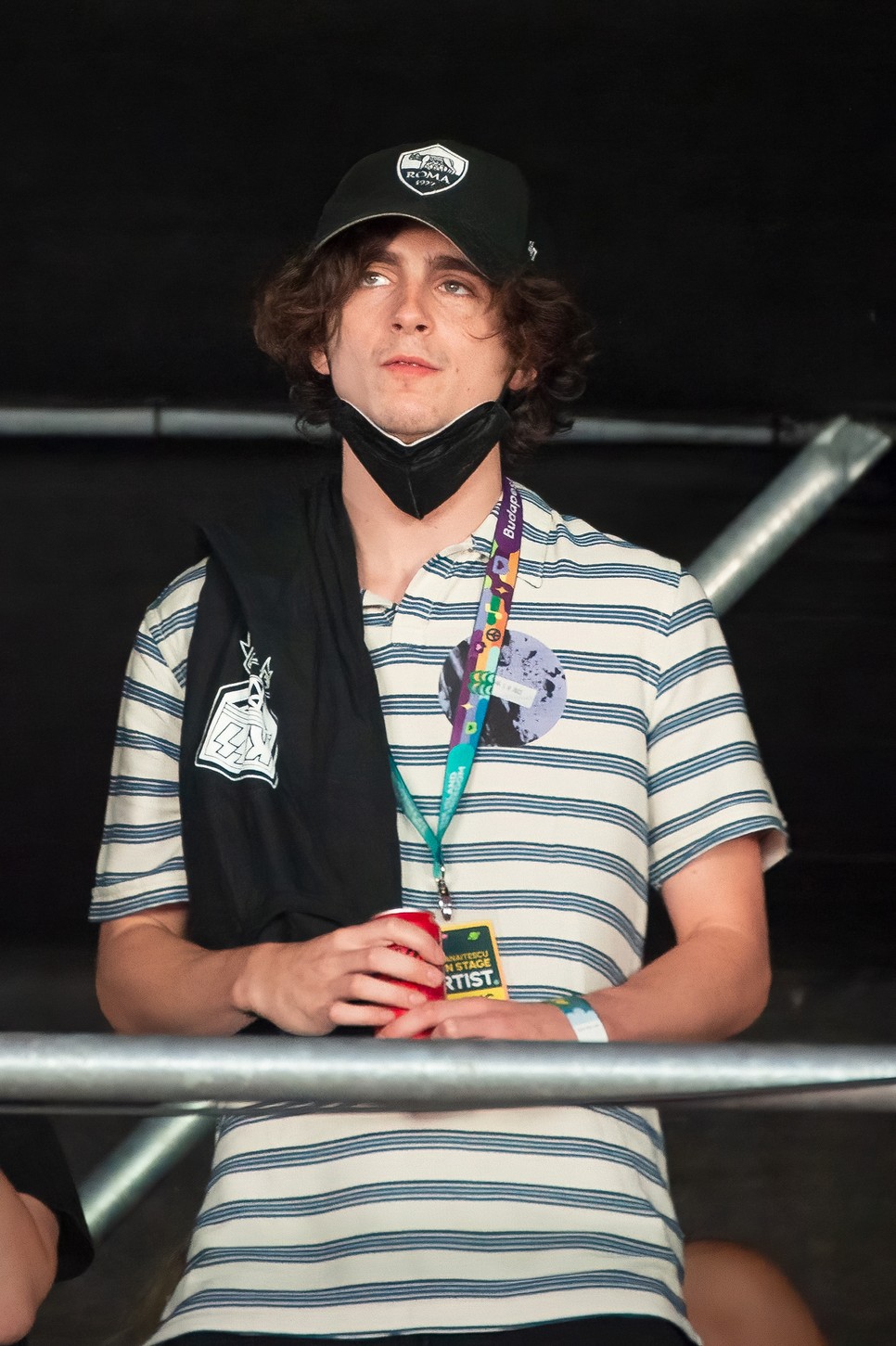 Timothée Chalamet is kint volt a Szigeten, vannak róla fotók!