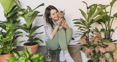 Tanuld meg kijelölni a saját határaidat a feng shui segítségével