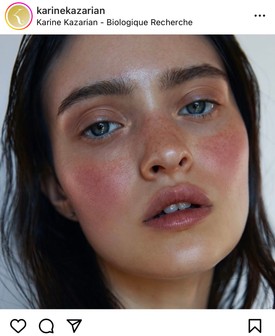 Instagram - @karinekazarian