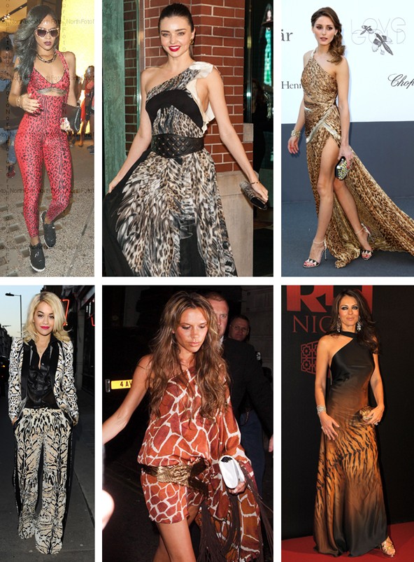 A sztárok régóta szívesen viselik a híres állatmintás Cavalli darabokat hétköznapra és alkalomra is. Például Rihanna, Rita Ora, Miranda Kerr, Victoria Beckham, Olivia Palermo és Elizabeth Hurley szerint is nagyon szexi. 