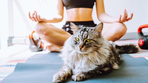 A négy leghatékonyabb légzőgyakorlat a stressz kezelésére