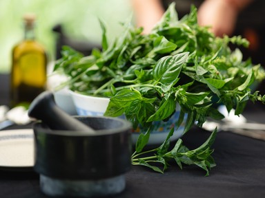 Saját kis fűszerkertre vágysz? Nagy Zsófia, A Fűszeres Lány segít, hogyan kezdj bele