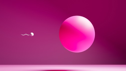 A donorsejtes lombik a terhesség, és az élet lehetőségét adományozza