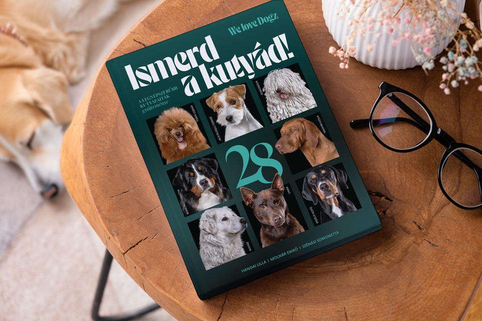 A könyvet a DOGZ Mikulás Falkasétán élőben is megtekintheted