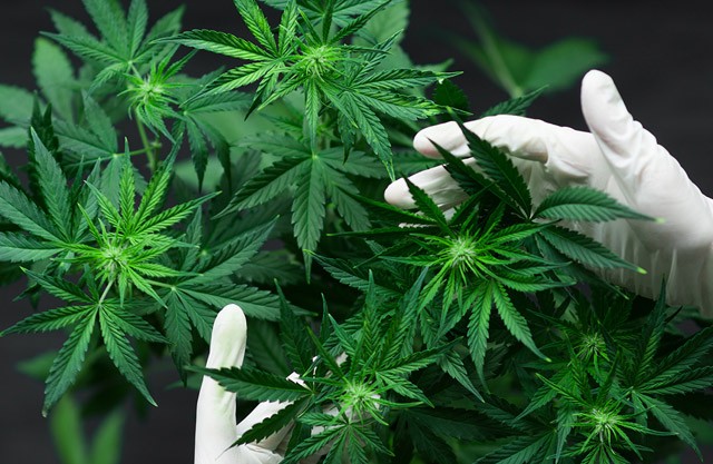 7 szépségtrend 2020-ban, amit muszáj kipróbálnod