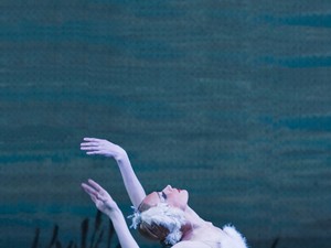 Balett a javából! A hattyúk tava Budapestre érkezik