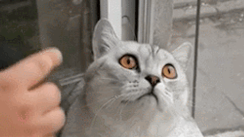 Ma nem a koncentráció lesz az erősséged - Egymondatos horoszkóp - október 11. péntek