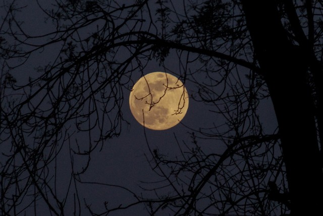 Telihold: Szex, kaland és rengeteg szenvedély - ezt hozza a Vadász Hold ma