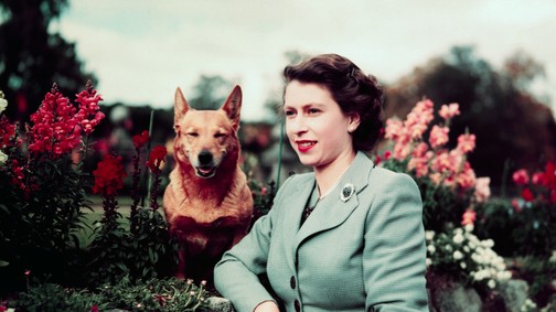 Ha megtudod, mi volt Erzsébet királynő civil munkája, egészen másképp emlékezel majd rá