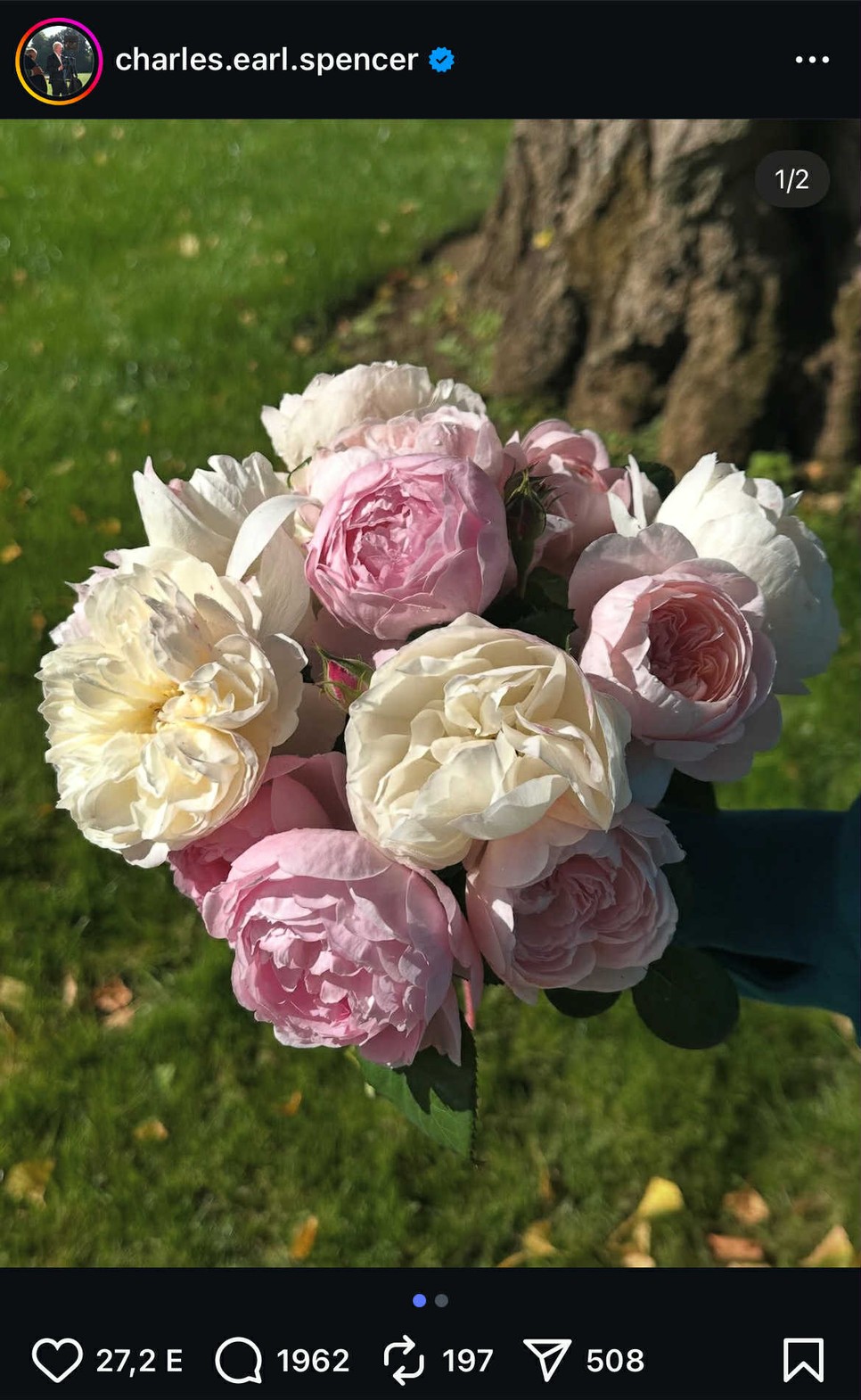 Bátyja majd' mindennap kimegy Diana hercegné sírjához