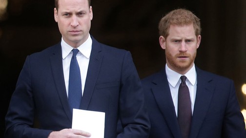 Hallottál már Vilmos és Harry herceg mostohatestvéreiről?