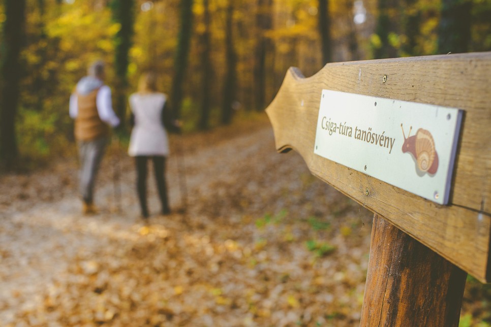 Az aktív kikapcsolódást kedvelők is szuper lehetőségek közül választhatnak