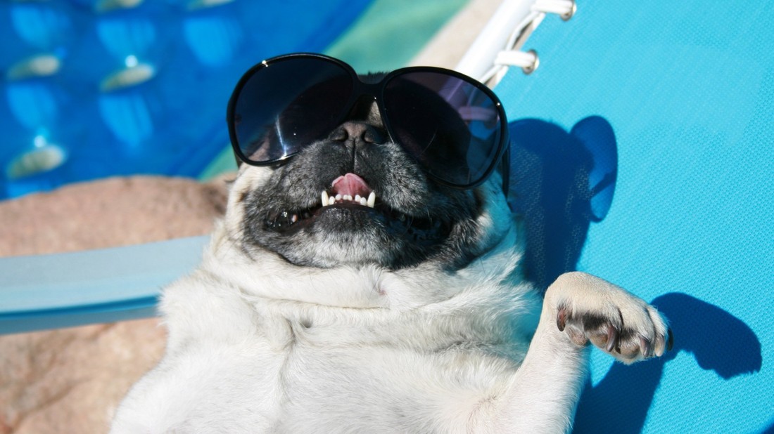 D-vitamin szintünk szeptembertől kezdve fokozatosan elkezd csökkenni