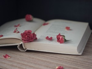 Kvíz: Melyik versből származik az idézet? Teszteld le, mennyire vagy jó magyar irodalomból!