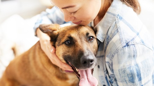 “Nincs annál rosszabb döntés, mint amikor valaki csak küllem alapján választ négylábút maga mellé” - Segítsd a kutyamentést!