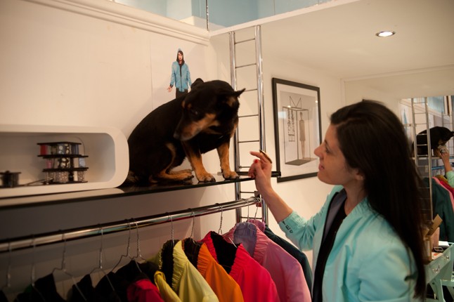 Róka járt a boltban