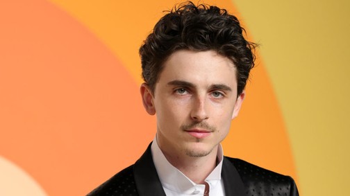 A rajongók pánikba estek: Timothée Chalamet legújabb fotóin furcsa dolgot szúrtak ki
