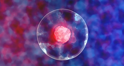 Korai stádiumban hatékony fejlett terápiás eszköz lehet: az őssejt csodája