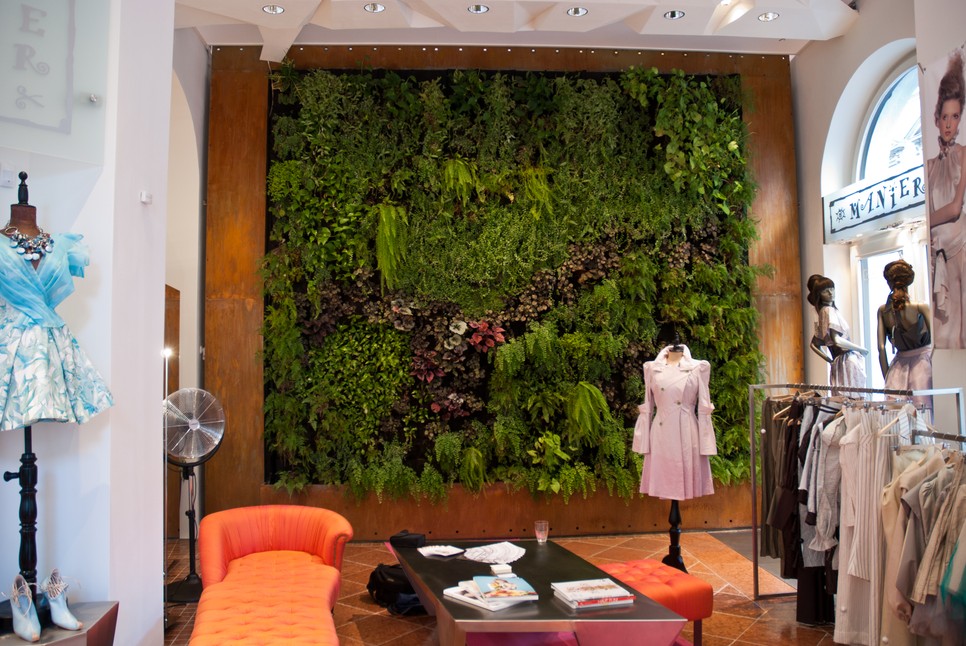 A Manier szalon zöldfala a Mohány és Páfra alkotása