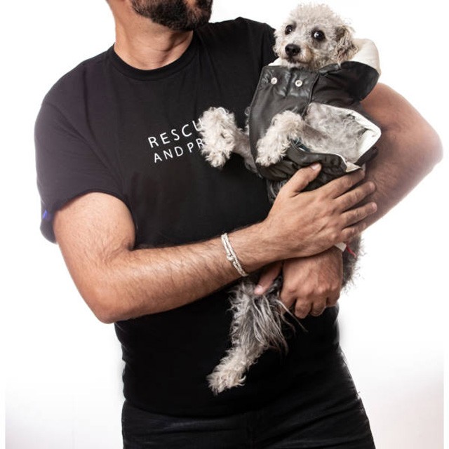 A háromlábú, örökbefogadott kutyus kollekciója még több állat életét mentheti meg