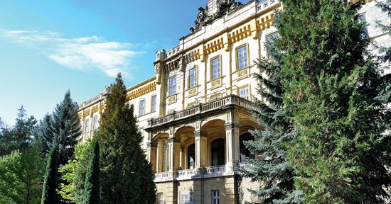 Hidegvizes merítés, a betegek leforrázása, elektrosokk és bódítószerek - ilyenek voltak Lipótmező mindennapjai