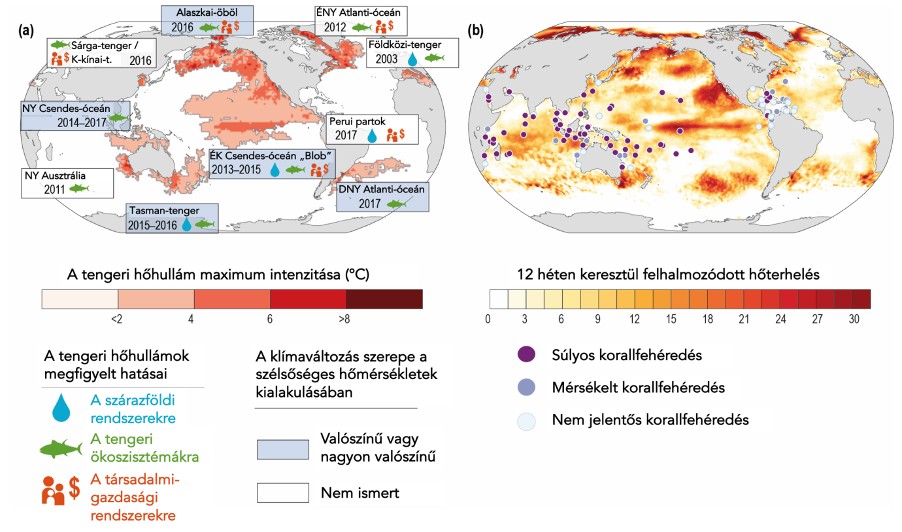 Másfélfok.hu: Egyre gyakoribbak és pusztítóbbak az óceáni hőhullámok - Aggodalomra nagyon is sok okunk van