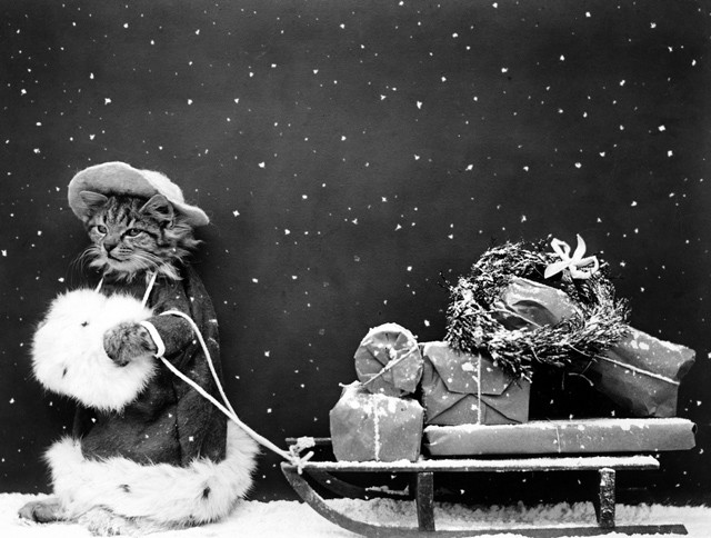 4+1 karácsonyi ajándéktipp az utolsó pillanatra