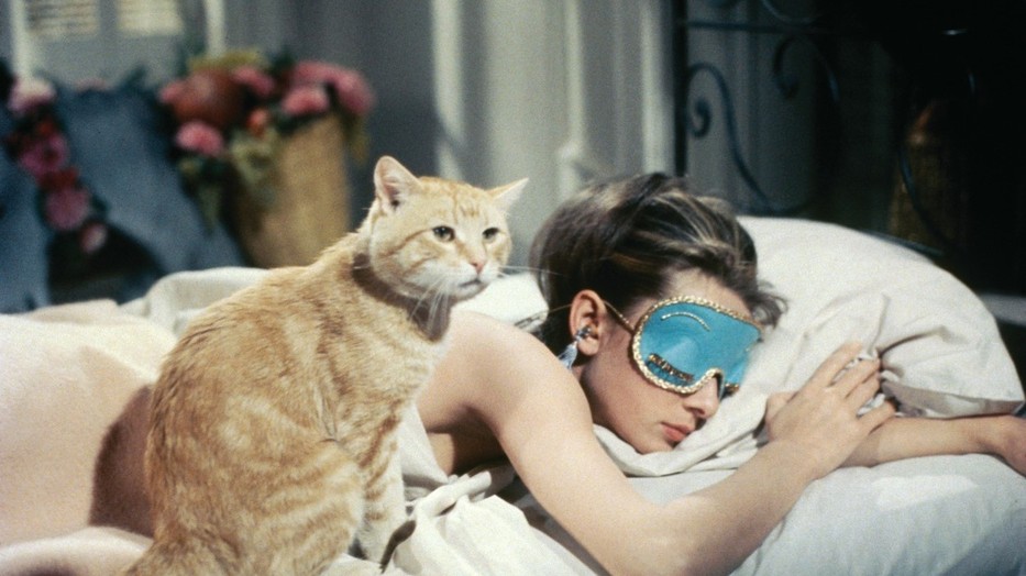 Álmok és jelentésük