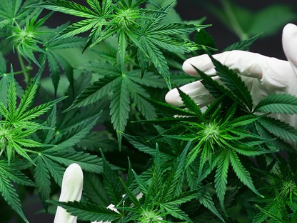 7 szépségtrend 2020-ban, amit muszáj kipróbálnod