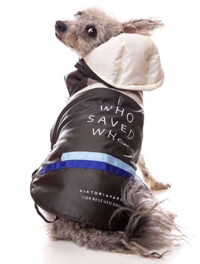 A háromlábú, örökbefogadott kutyus kollekciója még több állat életét mentheti meg