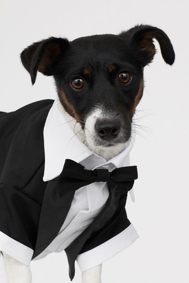 Szmoking H&M 3995 Ft