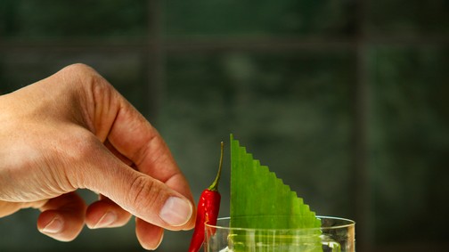 Mi a horoszkópod? Kóstold meg a csillagjegyedhez leginkább passzoló koktélt!