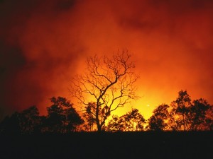 5 ok, amiért még komolyabban kell kezelni az éghajlatváltozást