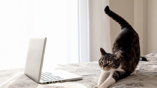 Jó nekünk a home office?