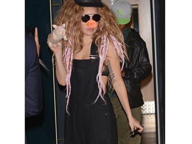 Lady Gaga, a disznó