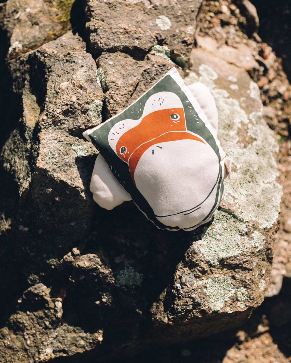 Jane Goodall X Printa kollekció párna