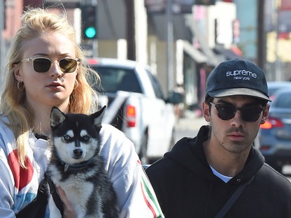 Esküvő után gyász: Joe Jonas és Sophie Turner elveszítették a kedvencüket