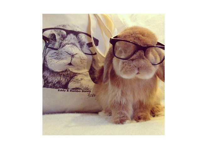 Glamour szerkesztőség