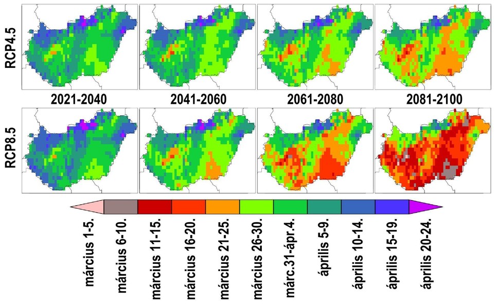 3. ábra: Az utolsó tavaszi fagy átlagos évi napja 2021-2040, 2041-2060, 2061-2080 és 2081-2100-ban az optimistább RCP4.5 (fent) és a pesszimista RCP8.5 (lent) forgatókönyvet figyelembe vevő 6-6 modellszimuláció átlaga alapján. A szerzők ábrája.