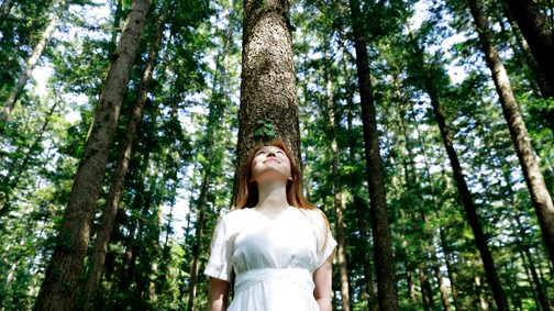 A természet lágy ölén: TOP 3 hazai arborétum, ahová el kell látogatnod idén nyáron!