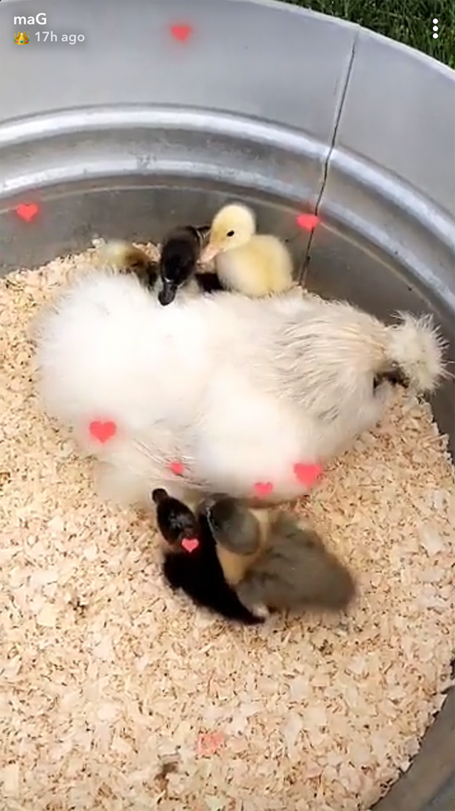 Kylie Jenner családi hétvégét tartott és a végeredmény hipercuki!