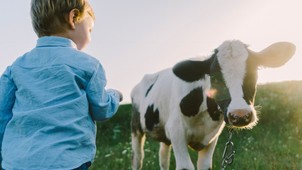 Magyarországon, a gyerekek hat-hét százaléka szenved valamilyen ételallergiától - beszélgetés dr. Csáki Csilla allergológussal
