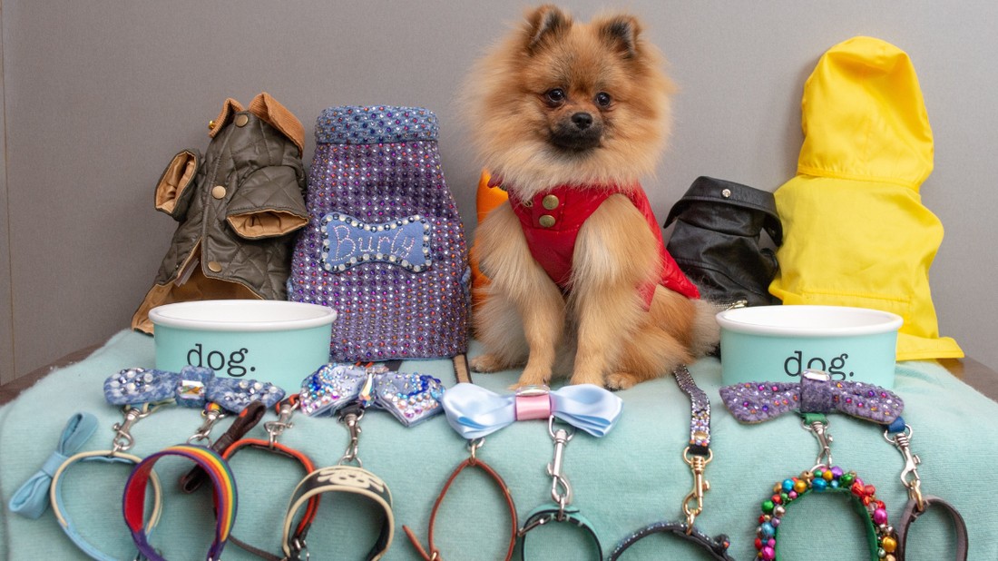 A londoni Burly gardróbja és kiegészítői hétmillió forintra rúgnak, mert gazdája, Michael O'Hagan mindenből a legdrágábbat és legmárkásabbat vásárolja számára