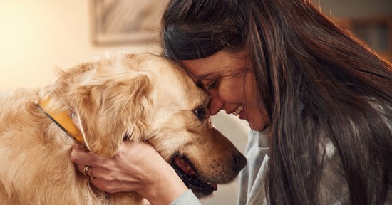 5 előny az életben, amit csak azok élveznek, akiknek van kutyájuk