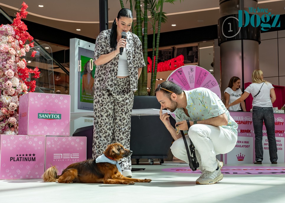GLAMOUR & WE LOVE DOGZ Mancsparty