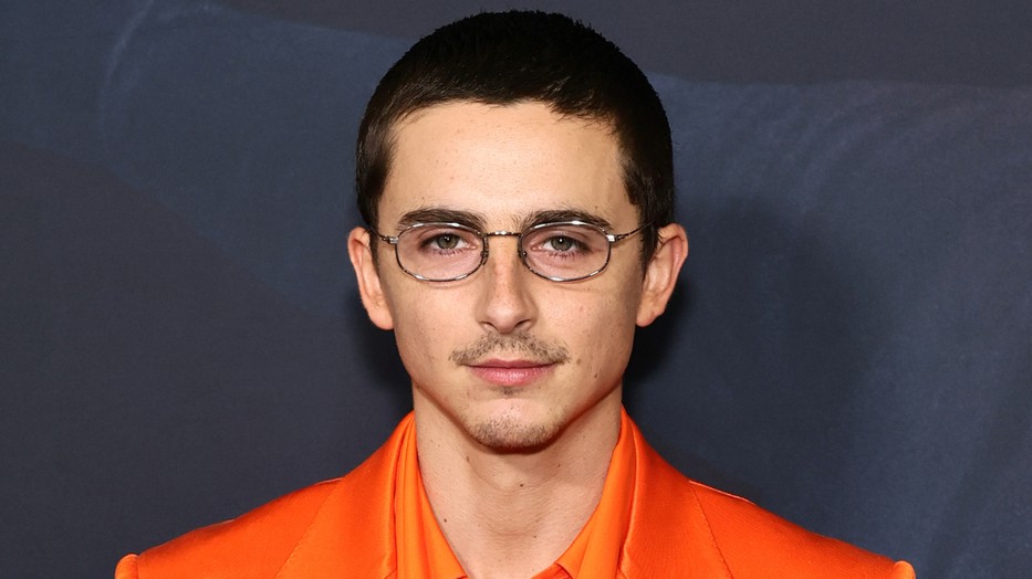 Timothée Chalamet édesanyjával ment a vörös szőnyegre